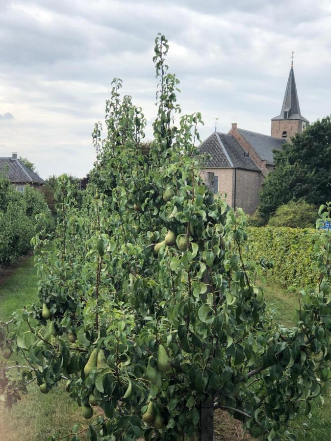 Gastenverblijf Op De Prins Hendrik Hoeve In Buren Buren  Exterior foto